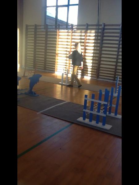 Kanin spring stævne