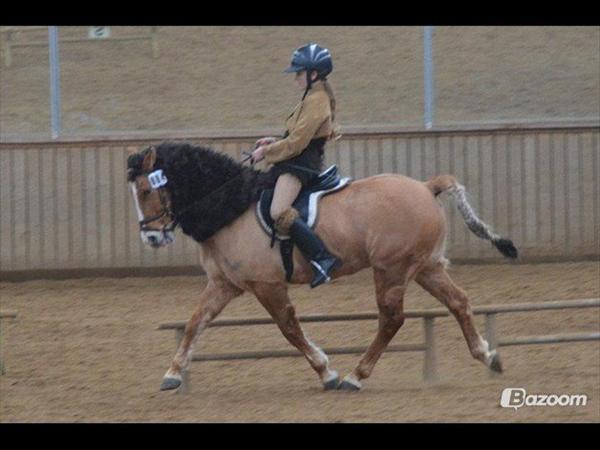 Hjælp til kostume til hesten :D ??
