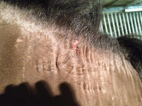 Sår på sår på sår - ØV!