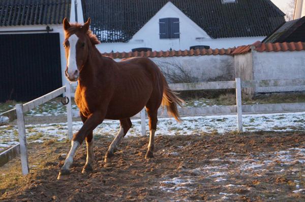 Hjælp til kamera. Forkert indstillet? 