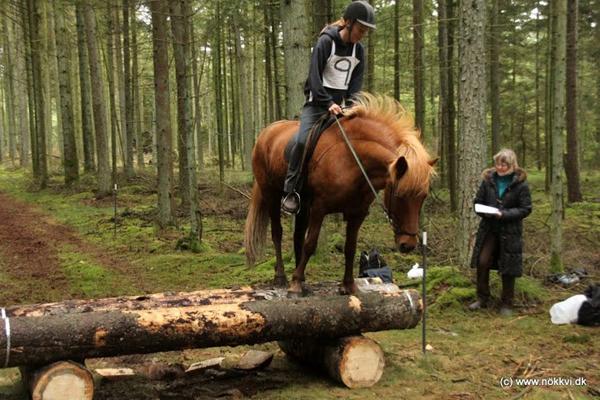 Ugens grin fra DM 2012