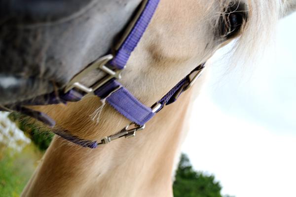 close-up eller alternativ vinkel?