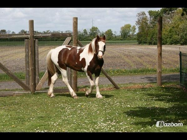 Det kan ikke passe jeg kun må veje 60 kg? :O
