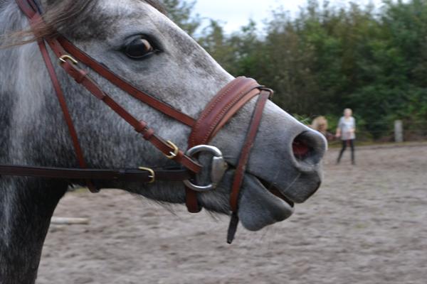 Hvilken farve er dette hovedtøj?