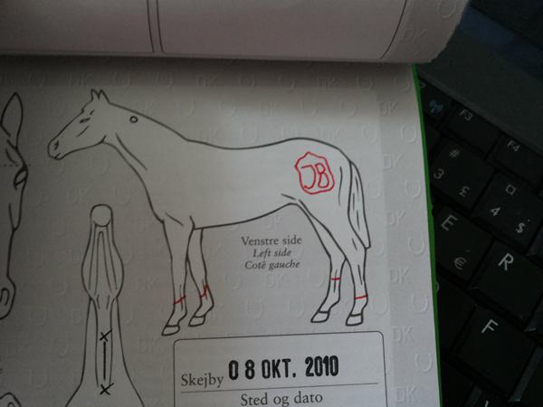 Ny hest; Hvilket brændemærke er dette?!