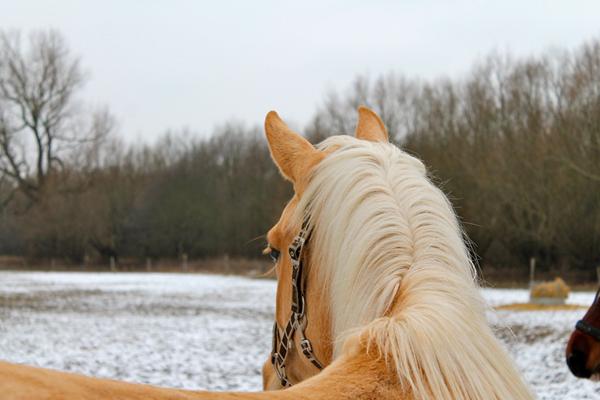 Rediger billede! :-)