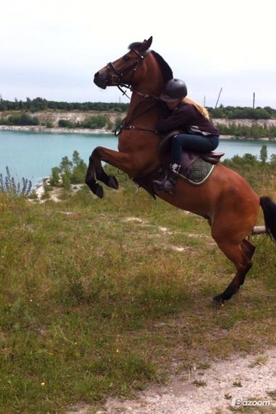 billed?? hvilke er bedst??