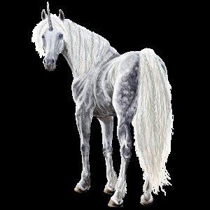 EH tinker hoppe søges