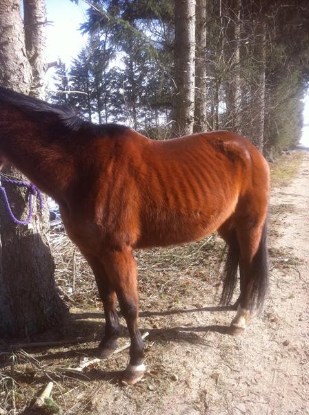 Mit hjerte græder:'( Dårlige lånere…..!!