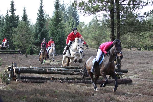 Jagt i Kompedal plantage 14/4