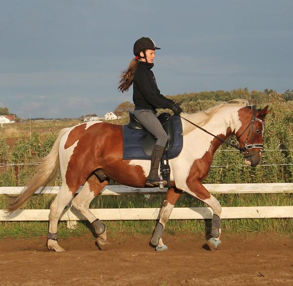 Springhøjder og regler