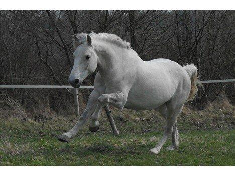 første gang.. skal, skal ikke?