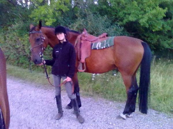 Hvilket underlag til Western sadel?