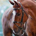 Syndes i jeg skal købe...........