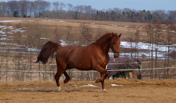 Bedre forståelse af den røde farve