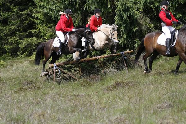 Jagt på Harrild hede 16/6