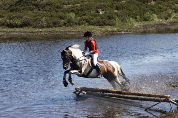 Hvem kommer til Harrild hede jagten i år?