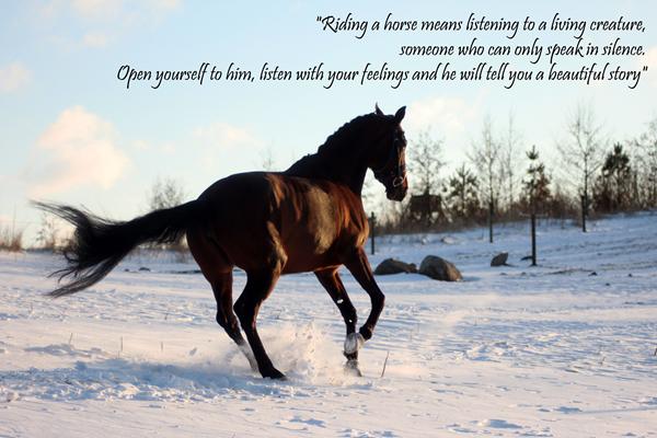 Endelig fandt jeg et godt slogan til mig billede :)