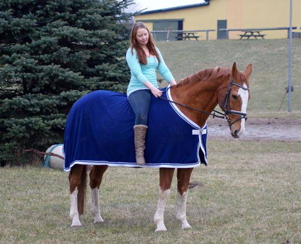 Opstaldning ved Roskilde