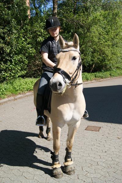 Rømø i sommerferien! Glæder mig!
