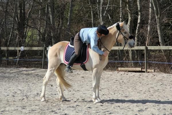 Hvilket navn synes i ville passe min hest? :)