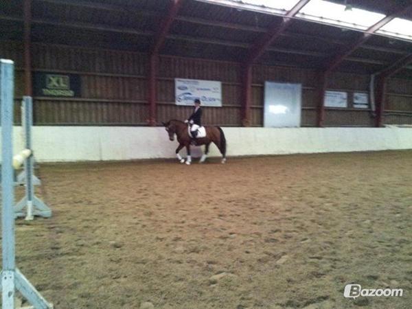 Hjælp/råd søges....