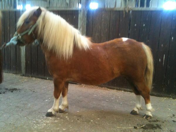 Vejledende bygningsbedømmelse