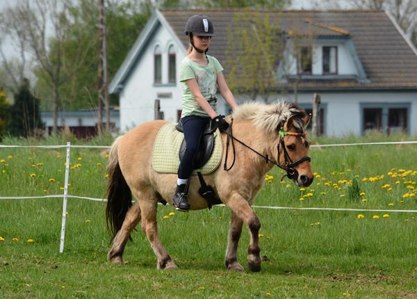 Sadel til lille og meget bred pony!