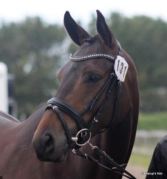 Bedøm billeder fra kåring 