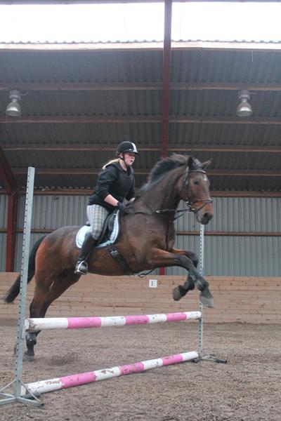 Hesten lærer rytteren af springe! Tror i på det?