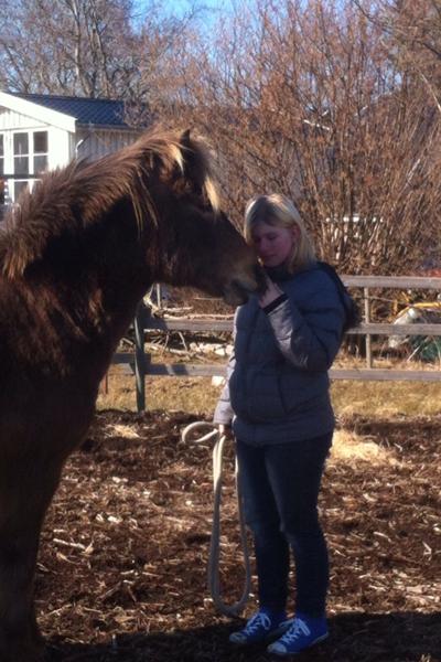 Hvilke farver til min skønne pony? :)