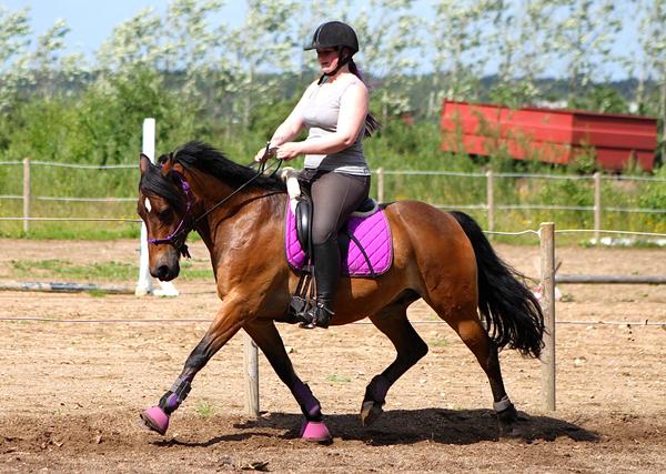 En hel måned uden metal i munden.