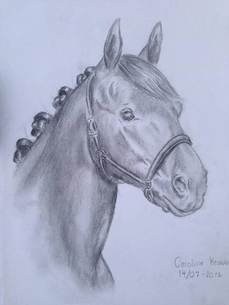 Tegning, Kritik søges: