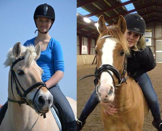 Min nye blog om heste