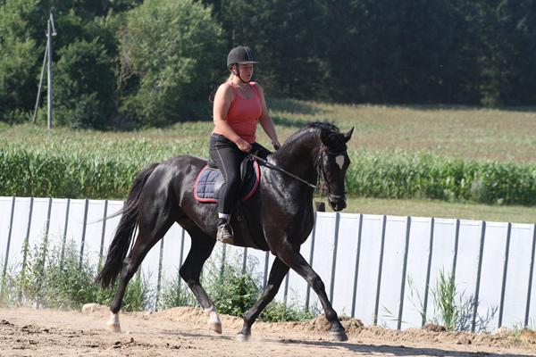 Vurdering af RDH hoppe