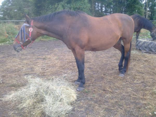 gæt alderen på hende her