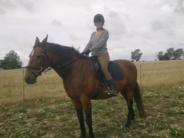 endelig på hest igen efter 2 års pause :)