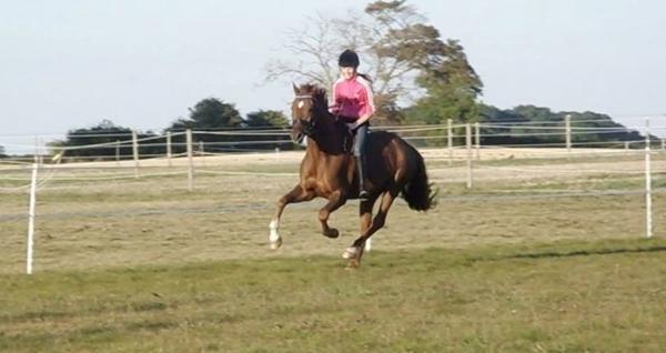 Wee fri galop uden sadel <3