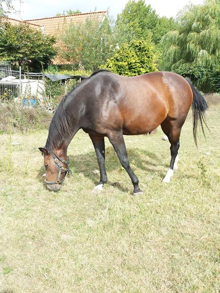 Vil lige dele lidt glæde fra Lady og mig.