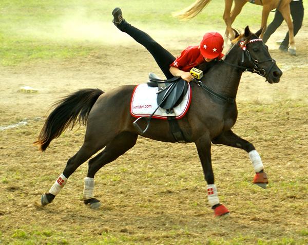 Jyder, Freisere, Haflinger, Shetlandsponyer, Islændere m.m.