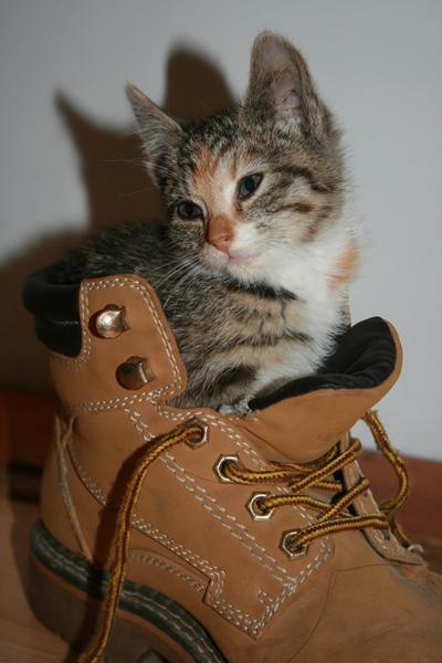 Vil lige dele min glæde med jer ;O) - Misling.