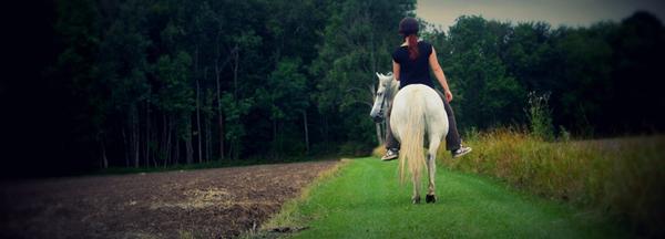 Pony/Horse of the week UGE 38