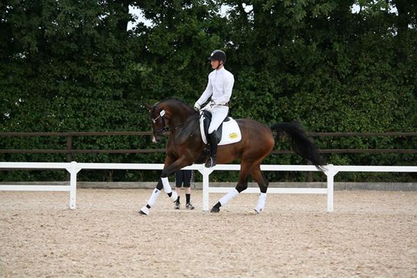 er jeg go nok til min hest