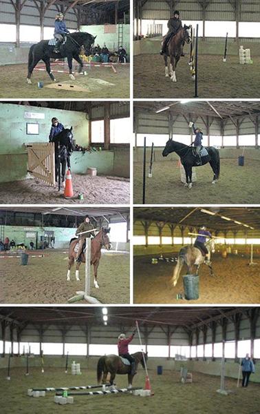 working equitation træningssamling v. Roskilde 27. oktober