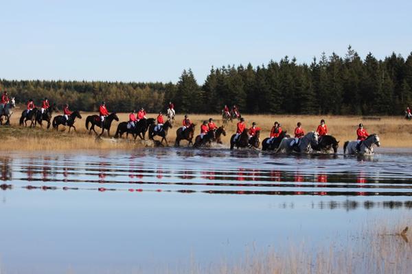 Hubertusjagt i nørlund plantage 13/10 