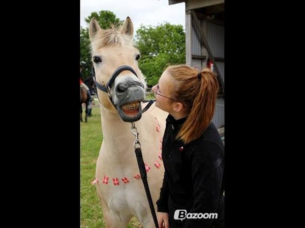 Jeres ynglings billede med jeres hest?