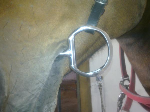 myler bid str er det her for stort?