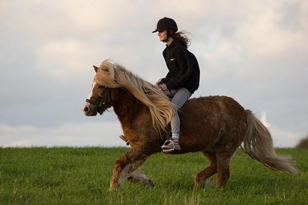 Ustyrlig galop på marken, HAHA :D