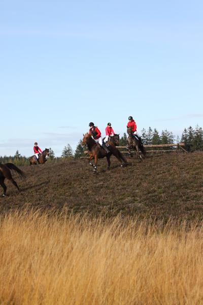 Hubertusjagt i nørlund plantage 13/10