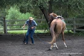 Intro Clinic til Cowboy Dressage på Fyn 